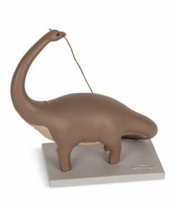 Riverdeep.shopdddfcf412d 1