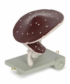 Riverdeep.shope5463df43c 1